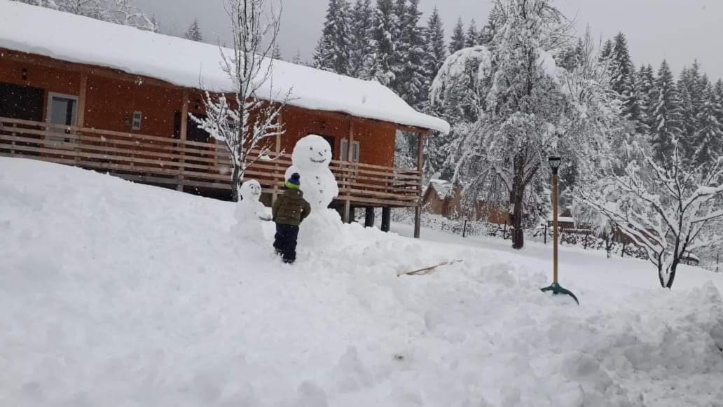 Cottage Shgedi Mestia Eksteriør billede