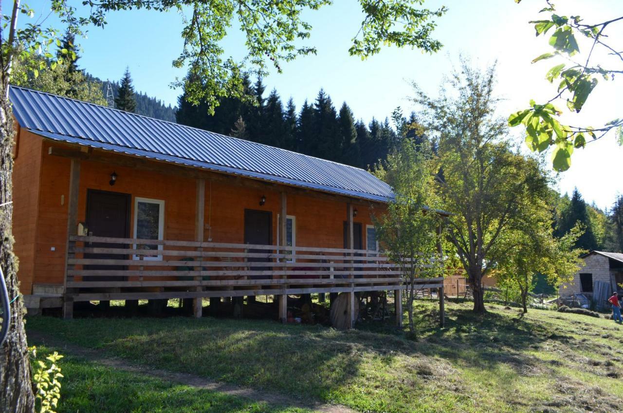Cottage Shgedi Mestia Eksteriør billede